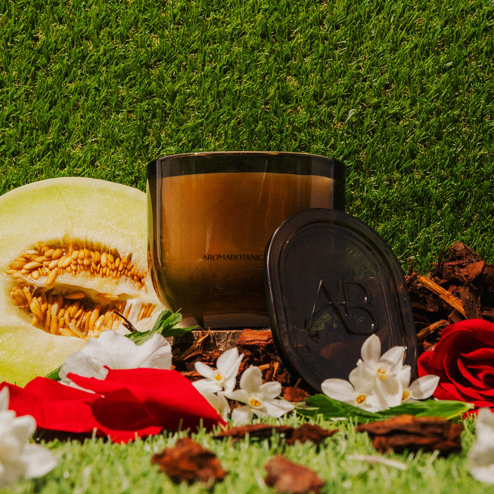 Jasmine & Cedarwood 410g Candle